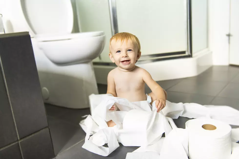 August 26 – National Toilet Paper Day