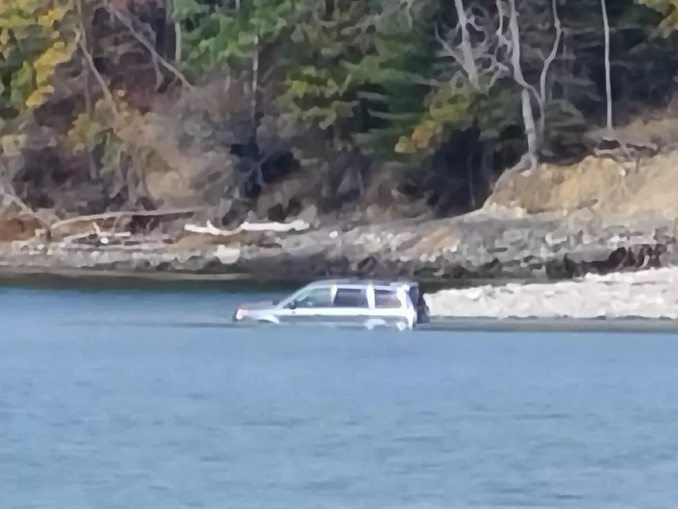 High Tide 1 Bar Island Car 0 [PHOTOS]