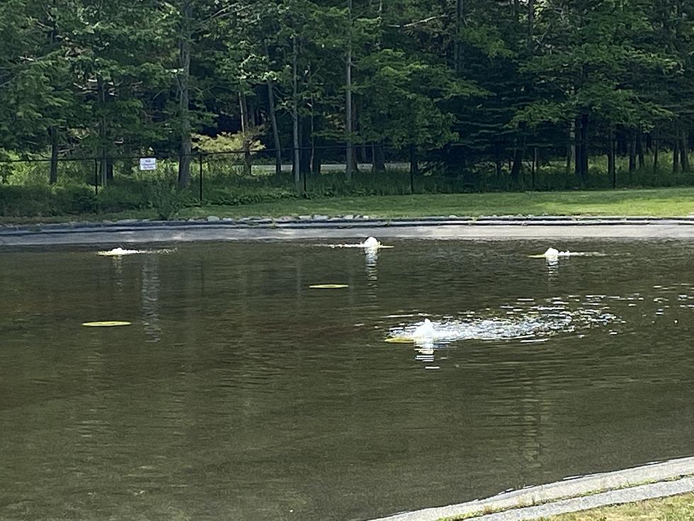 Glen Mary Wading Pool Closed July 7th Due to &#8220;Baby Ruth&#8221; Bar Incident