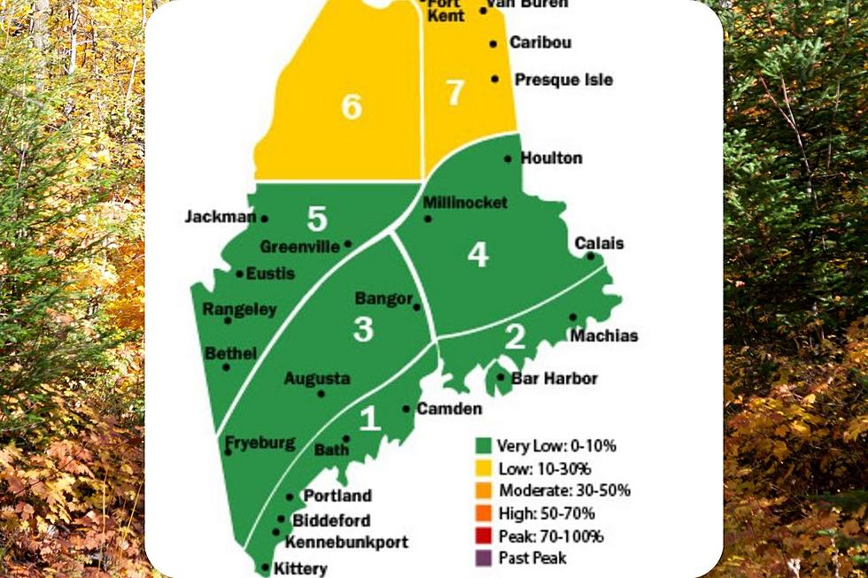 First Foliage Report for 2021