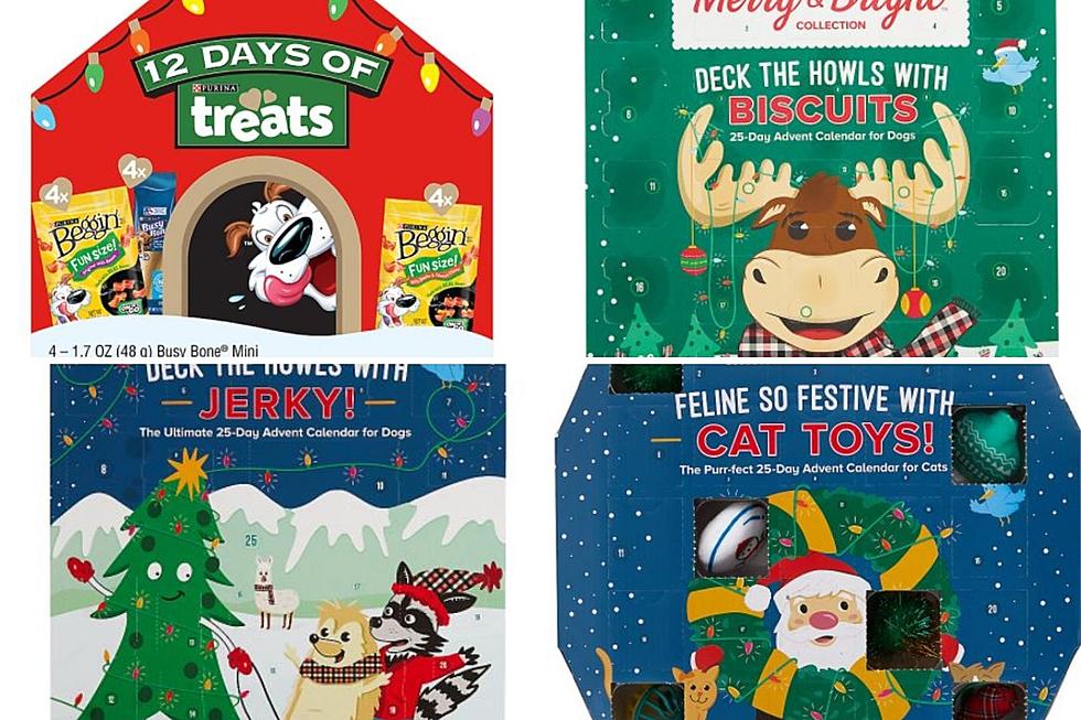 Advent Calendars for Your Dog and Cats to Help Them Stay on Santa’s Good List