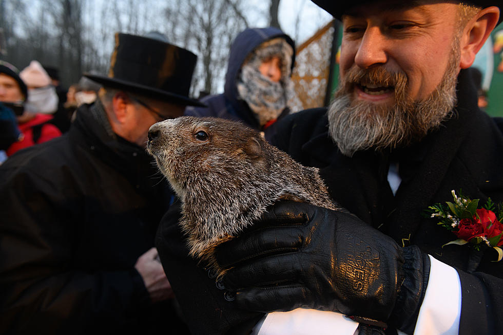 Winter Storm Watch &#8211; Thanks Stupid Groundhog