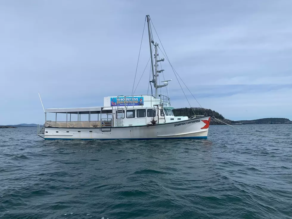 Diver Ed&#8217;s Dive-In Theatre Returning to Bar Harbor for 2022 Season