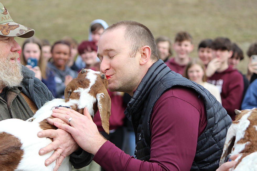 Ellsworth High School Teachers Kiss Baby Goats to Raise Money for Relief for Ukraine [PHOTOS]