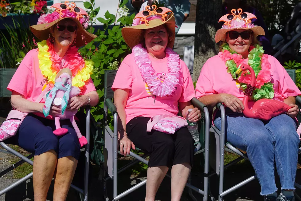 Flamingo Festival in Southwest Harbor This Weekend July 15-17