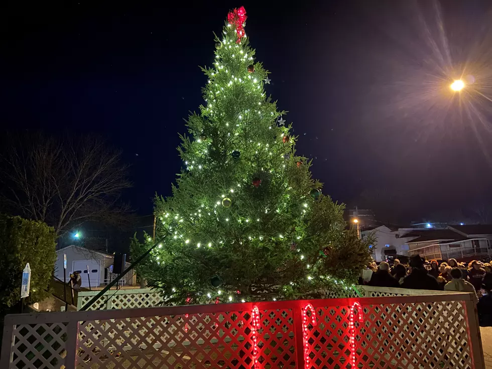 2022 Ellsworth Christmas Tree Lighting [PHOTOS]