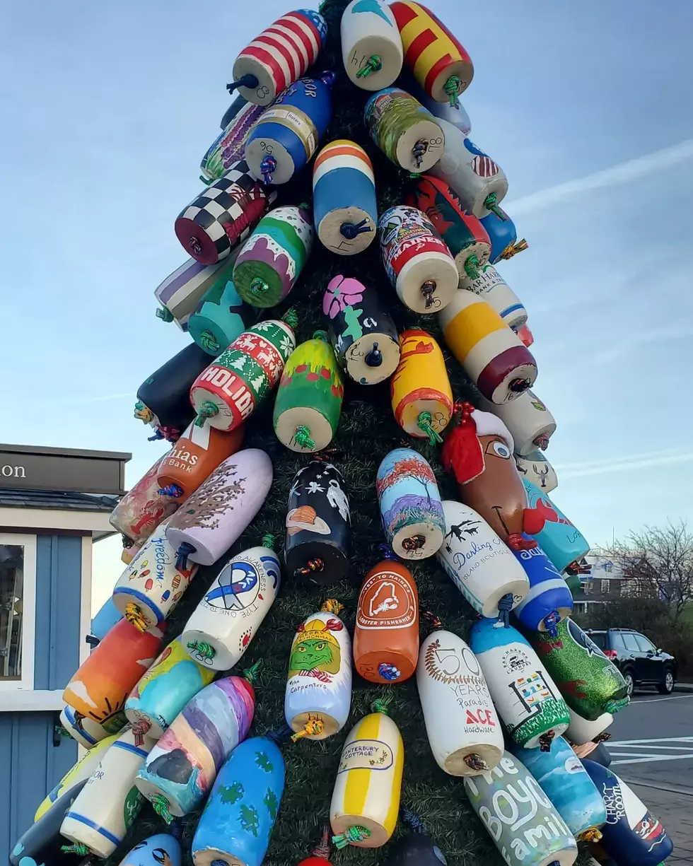 Bar Harbor Buoy Tree Lighting Wednesday November 30