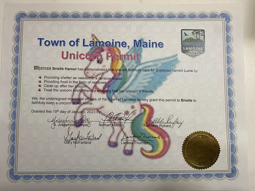 Lamoine Select Board Grants 5-year-Old, Brielle, Unicorn Permit