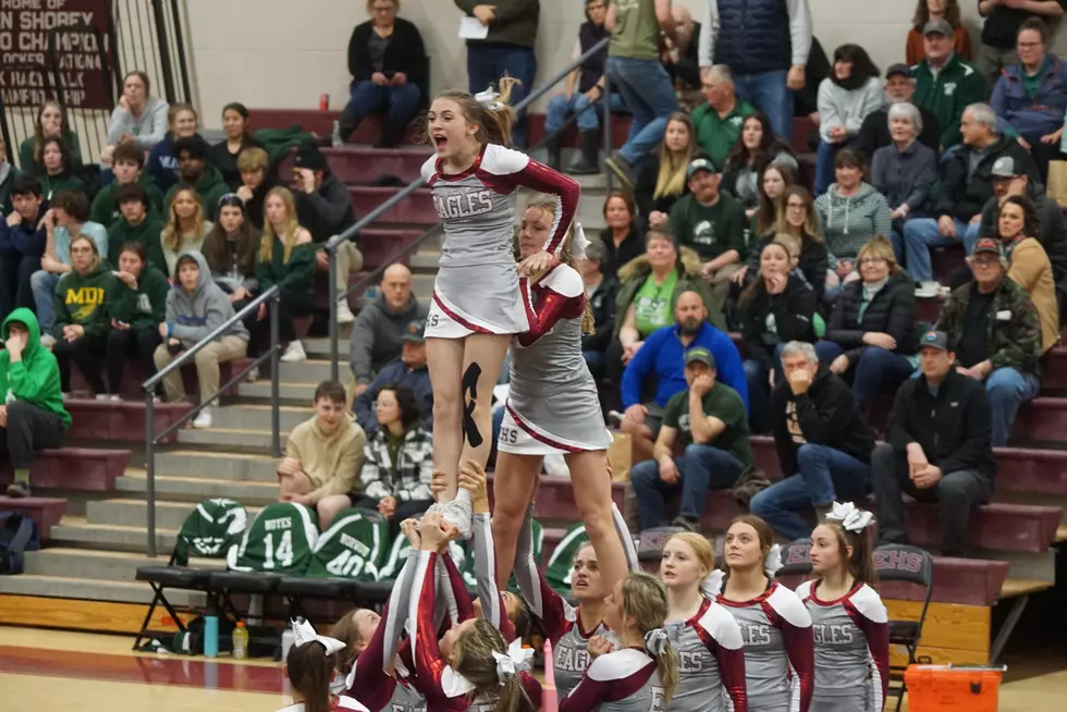 State Cheering Championships – Order of Competition