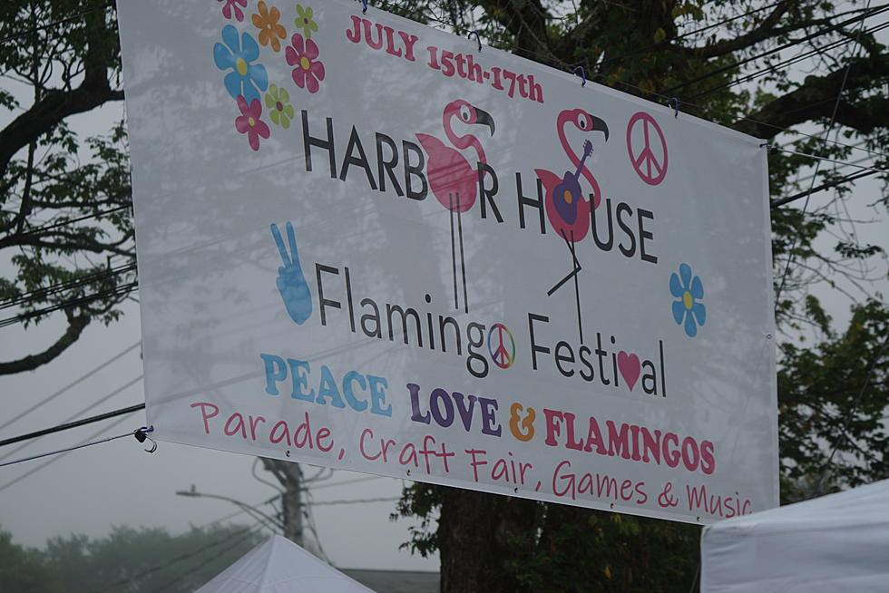 2023 Southwest Harbor Flamingo Festival [PHOTOS]