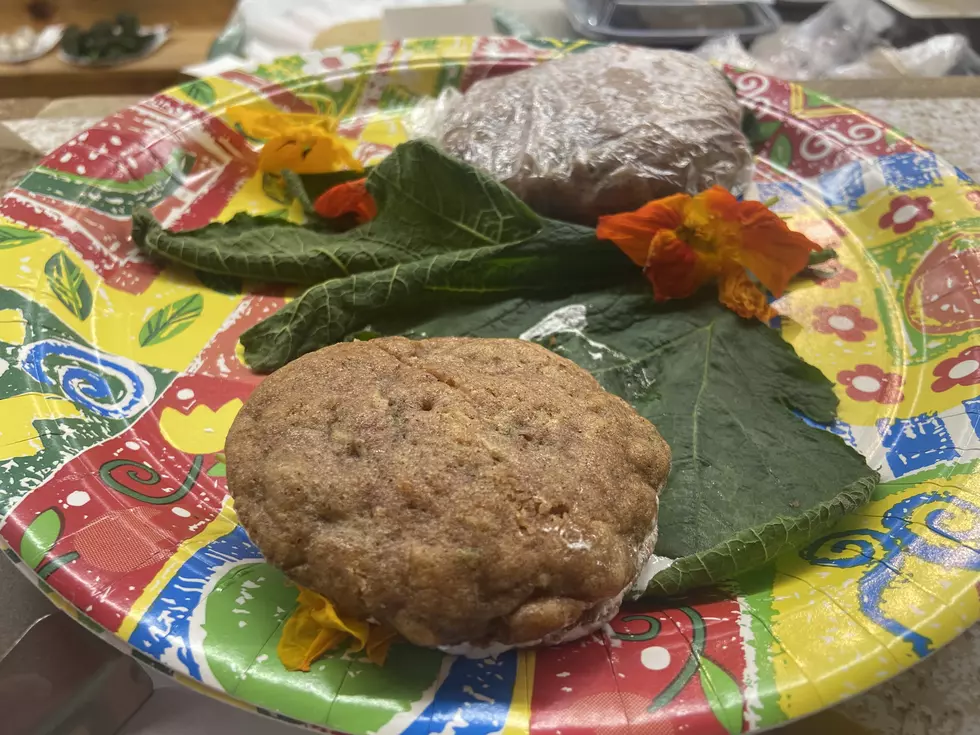 Zucchini with Cream Cheese Filling 2023 Blue Hill Fair September 4, 2023 Photo Chris Popper