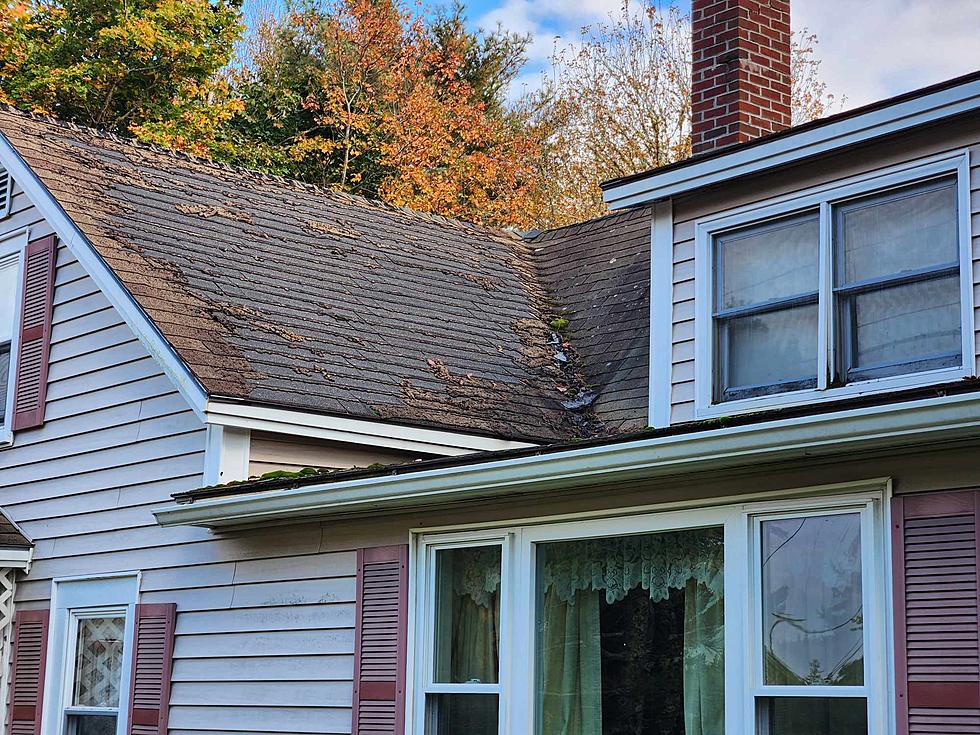 Work Crew Needed to Roof Disabled Bar Harbor Woman&#8217;s House