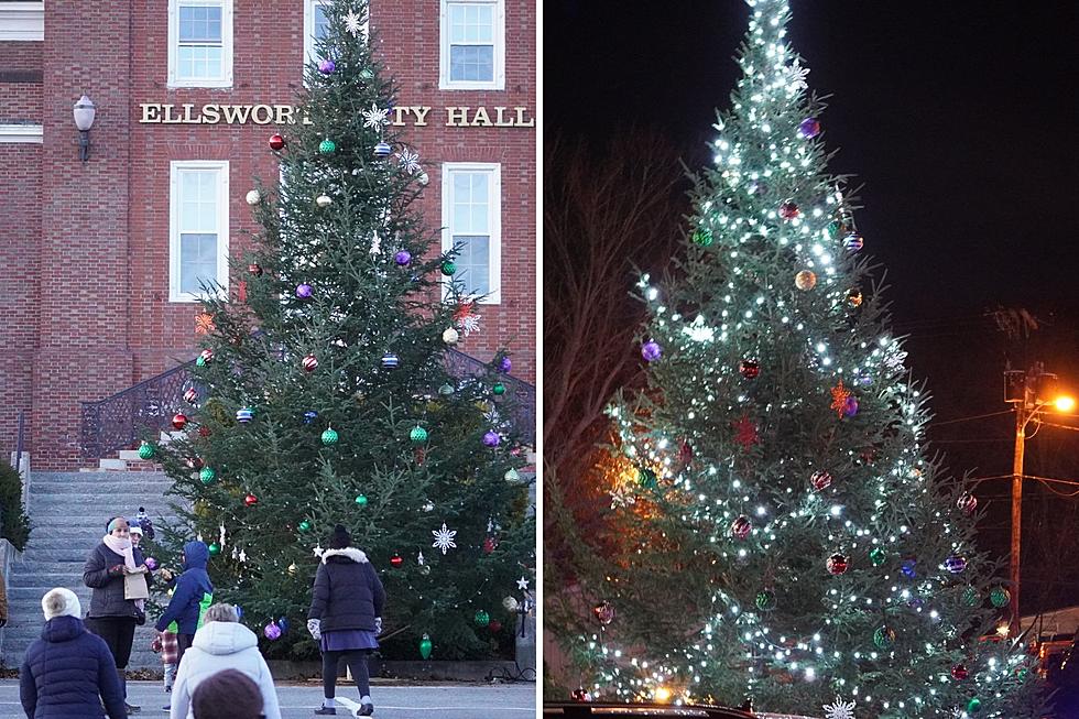 Ellsworth Christmas Tree Lighting 2023 [PHOTOS]