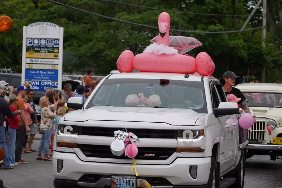 Think Pink! Southwest Harbor’s Flamingo Festival Is This Weekend July 11-13