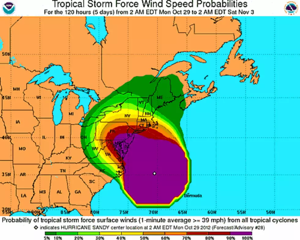 Sandy Hits Southern Tier: Things You Should Know