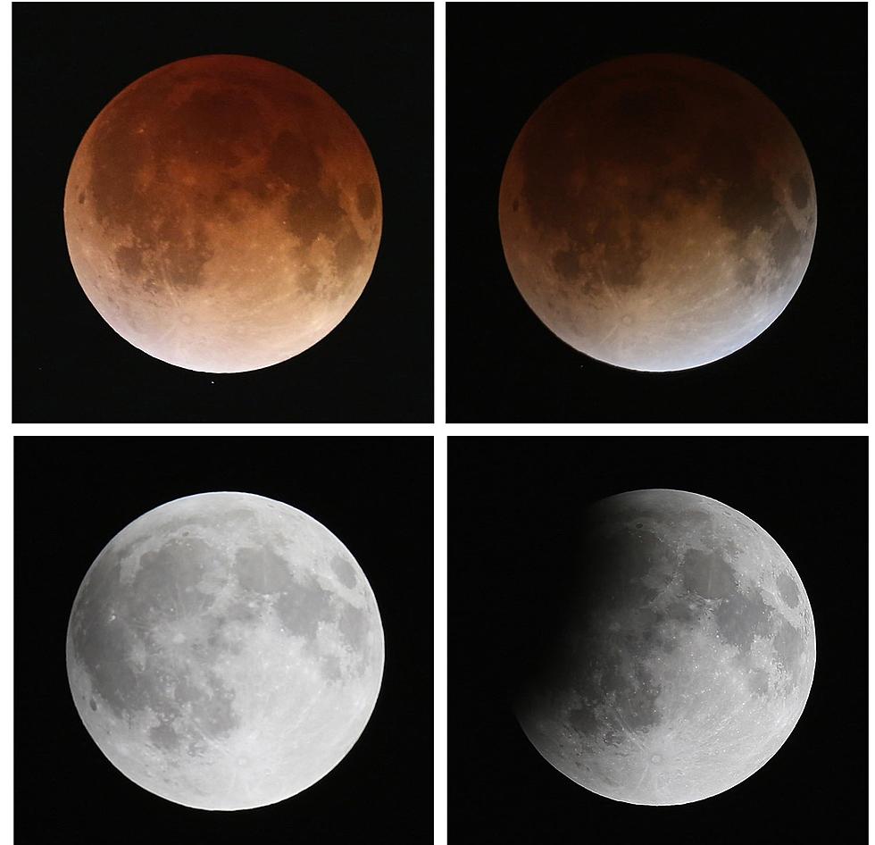 Don’t Miss the Blood Moon Wednesday Morning