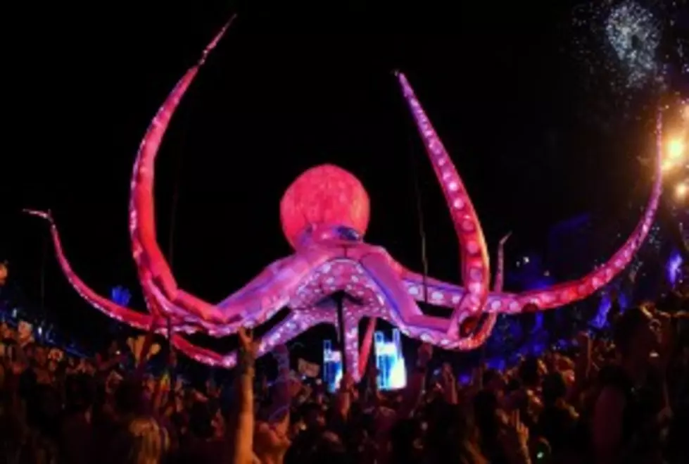 The Disturbing Fascinating Octopus [VIDEO]