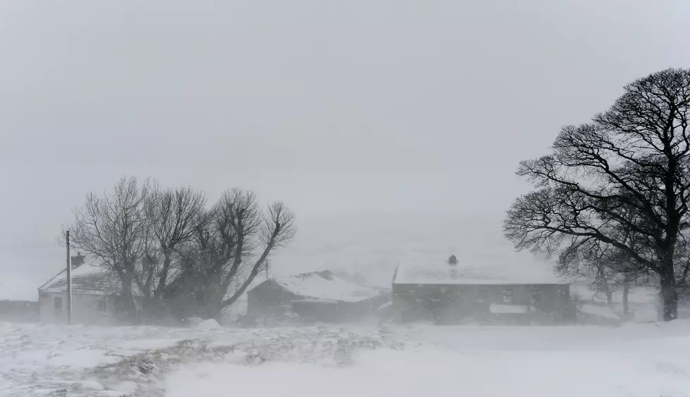 Top  Winter Snow Storm Indulgences