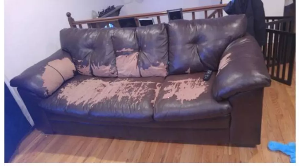 Free Items on Binghamton Craigslist You Might Actually Use
