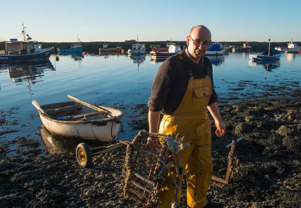 Extremely Rare Crustacean Caught In Massachusetts