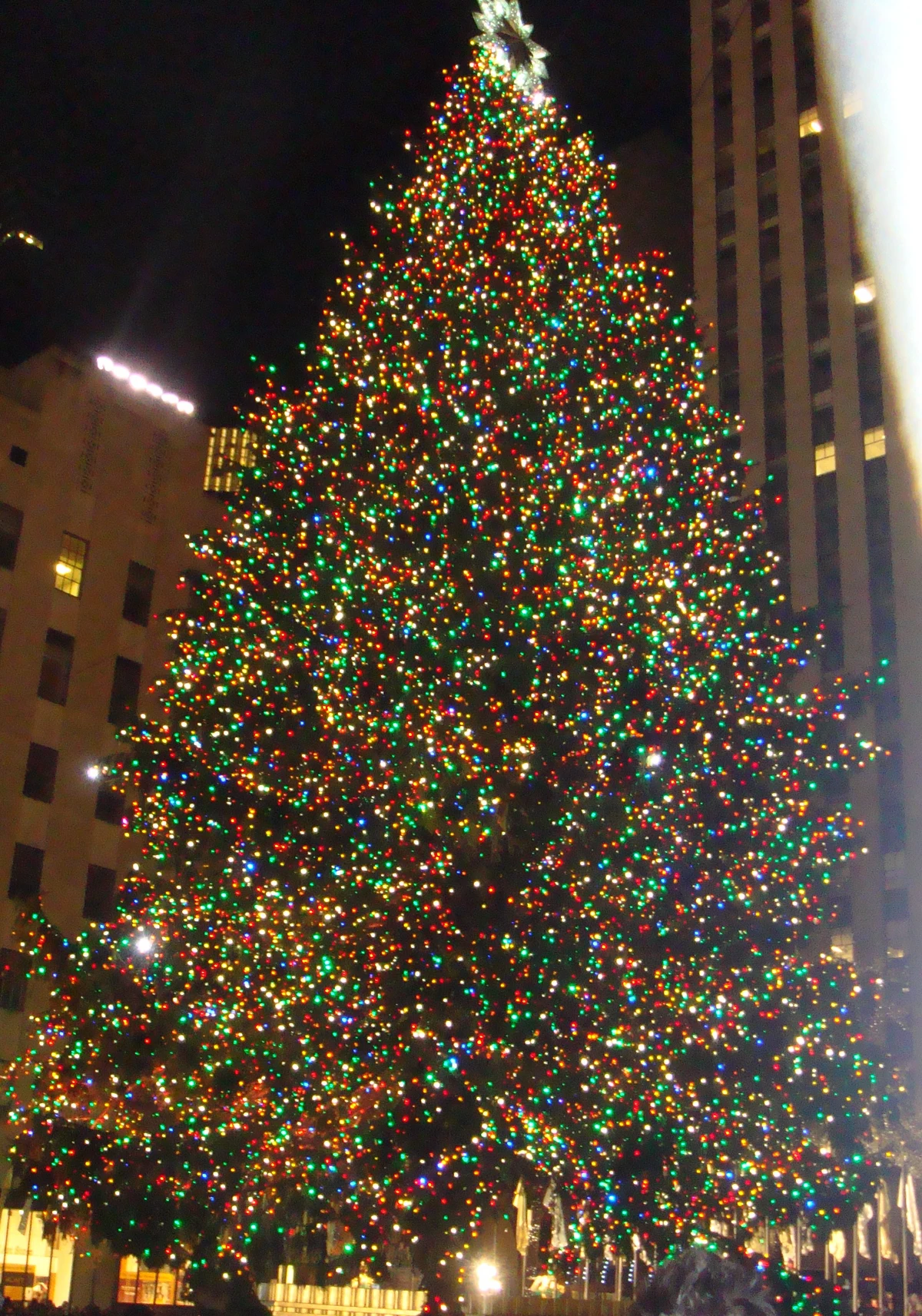 Transporting the Xmas Tree to Rockefeller Center