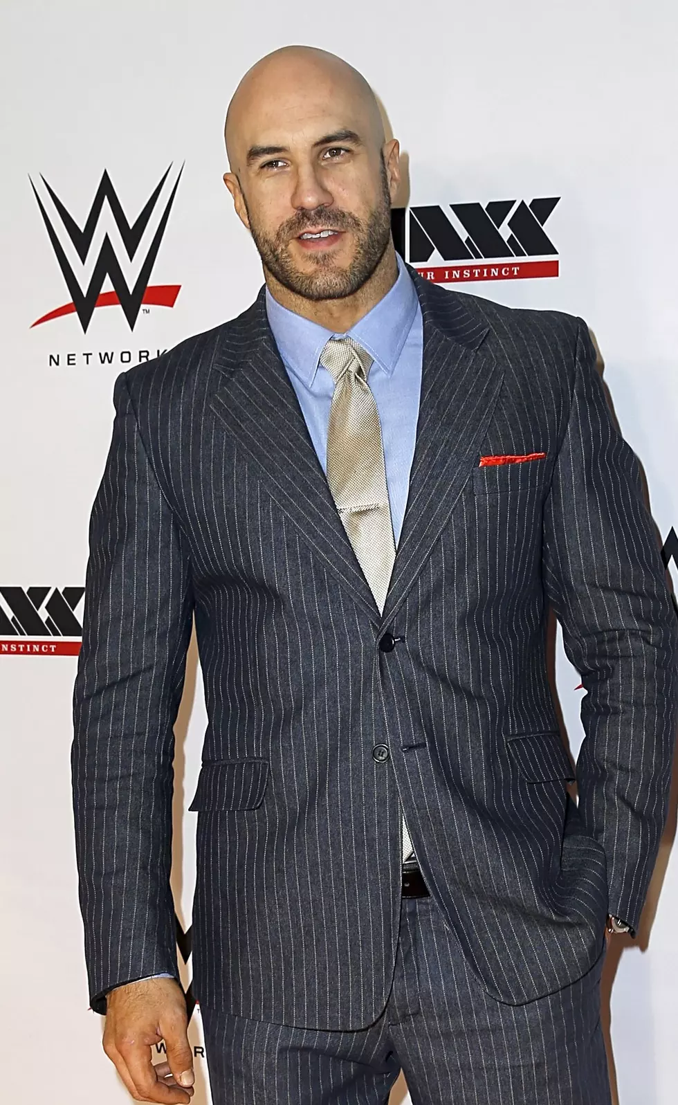 Whale Exclusive - WWE Cesaro
