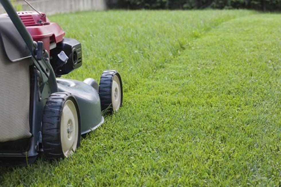 Have You Mowed Your Lawn Yet? 