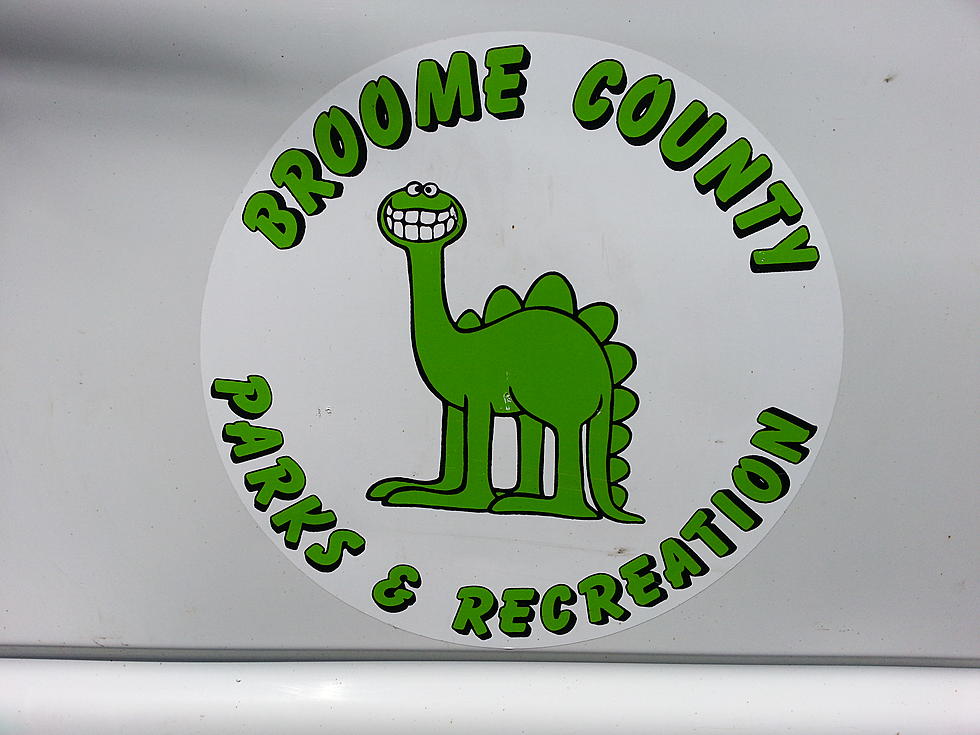 Get Ready For Exciting Activities At Broome County Parks This Summer
