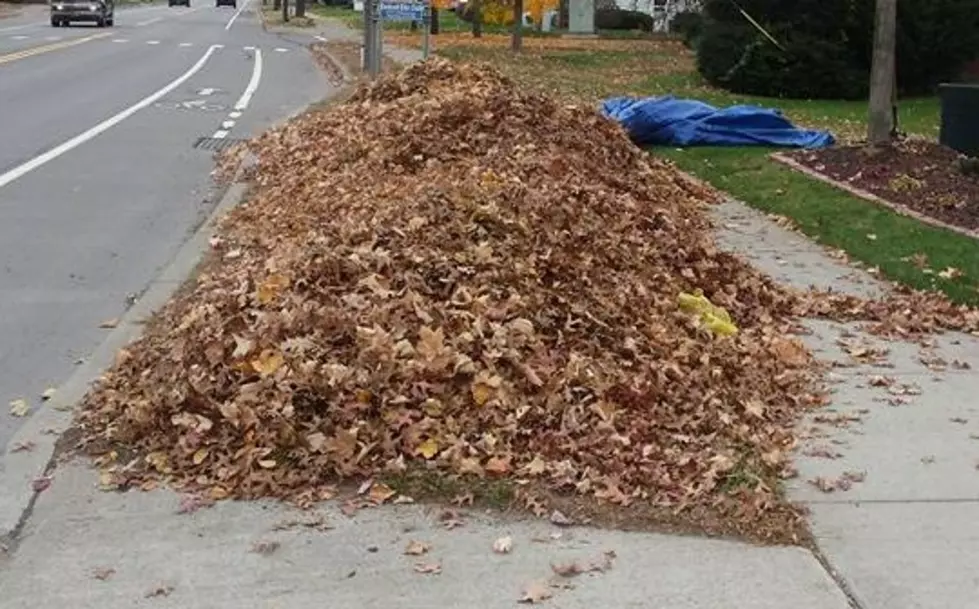 Porn Company Offering Free Leaf Removal in Upstate New York