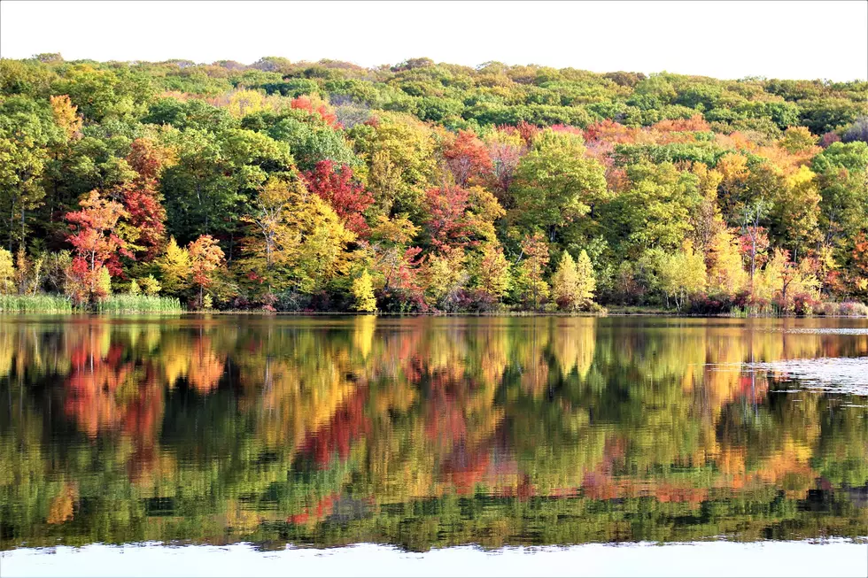 When Will the Fall Foliage Hit It's Peak in Our Area?