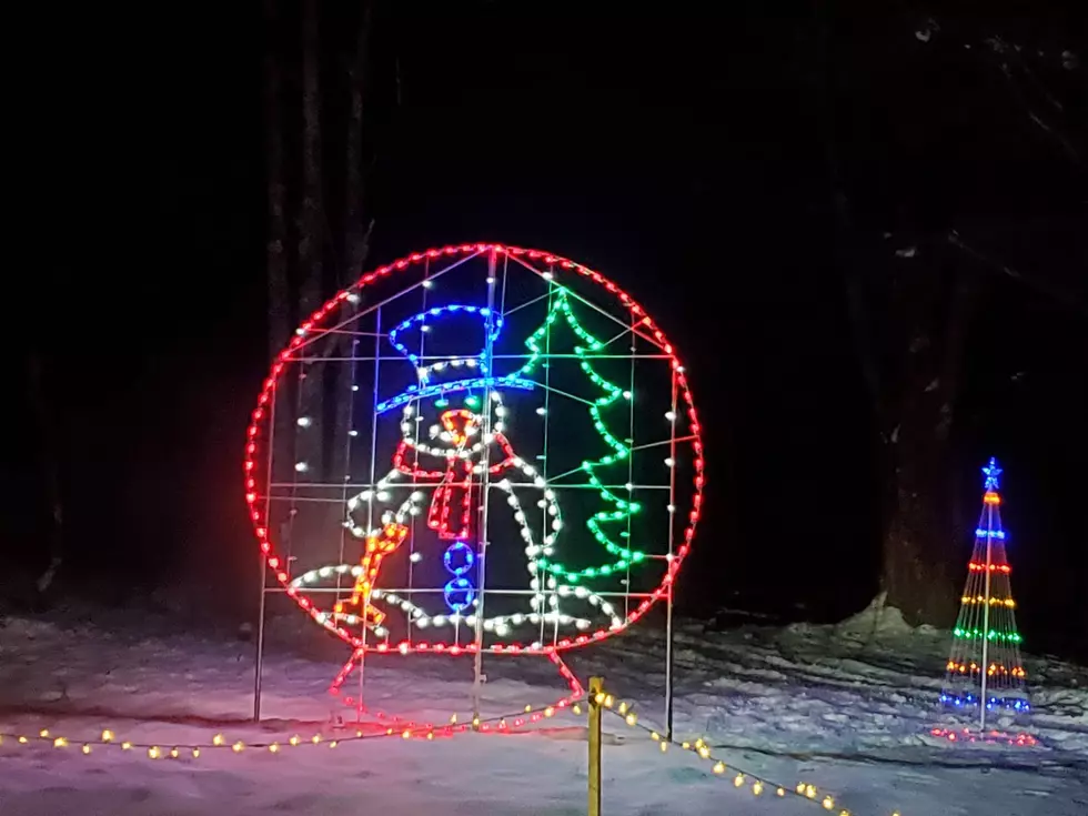 Photos From the Forest of Lights at Tall Pines