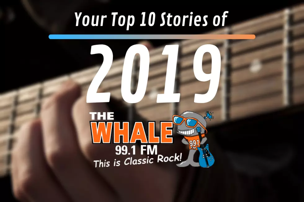 Top Ten Whale Stories of 2019