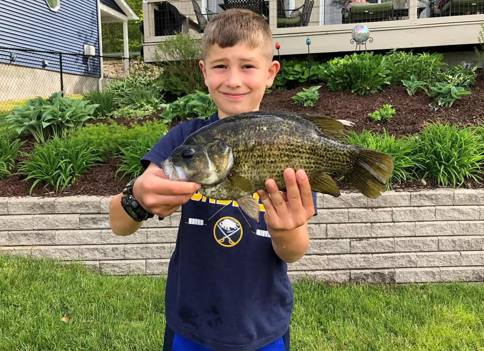 Young New Yorker Breaks NYS Fishing Record