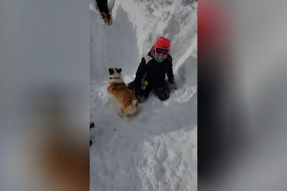 Apalachin Family Makes Amazing Snow Maze For Their Pups [VIDEO]