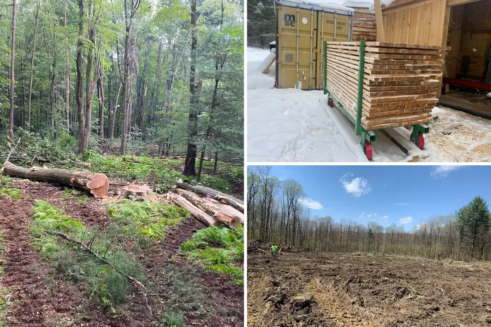 Hopkins Forestry Also Offers Kiln-Dried Dimensional Lumber and Rough-Cut Lumber