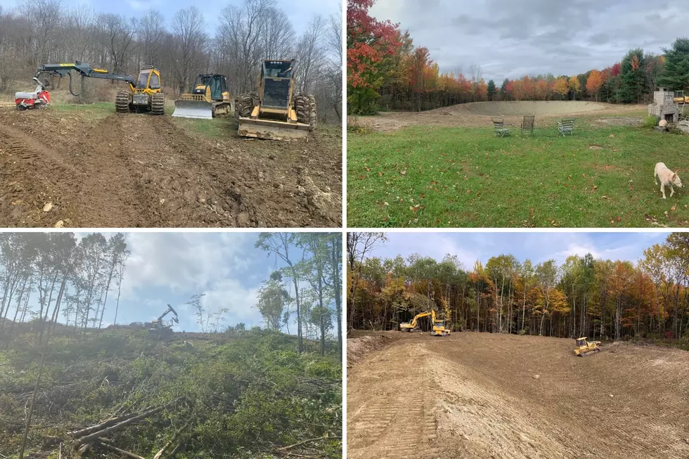 Hopkins Forestry