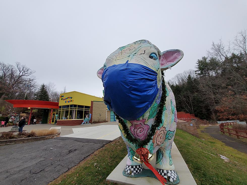 Find Out How You Could Give Discovery Center’s Famous Bull A Stunning New Look