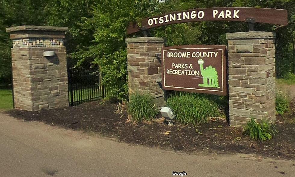 Broome County Parks Is Looking For Your Spring Nature Photo