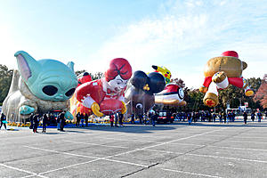 What Balloon Would Best Represent Binghamton In The Thanksgiving Day Parade?