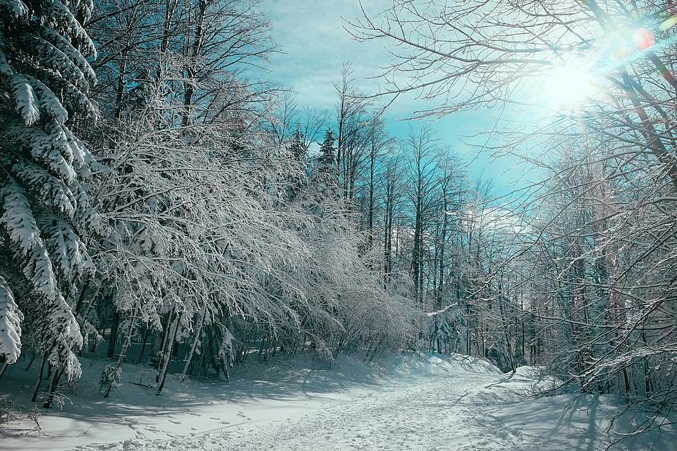 What Are The Odds Of Snow On Christmas Day In Binghamton?