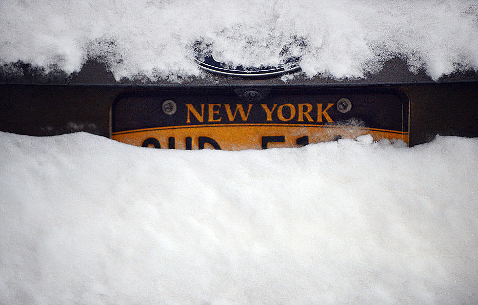 Which Is Better &#8211; The Excelsior or Empire Gold New York State License Plate?