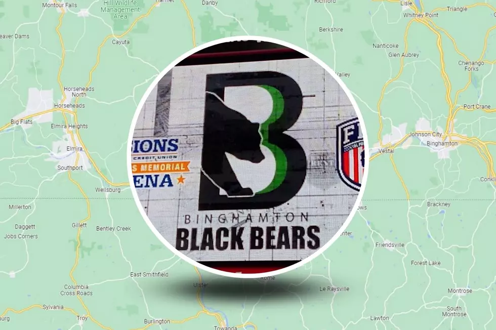 Binghamton Black Bears Have New Hockey Rival In Elmira