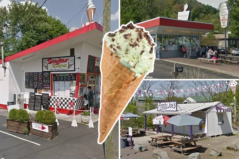 GALLERY: Places For Great Ice Cream From Conklin To Apalachin