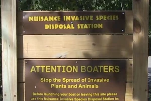 Boating This Summer? Help Prevent the Spread of Aquatic Invasive Species