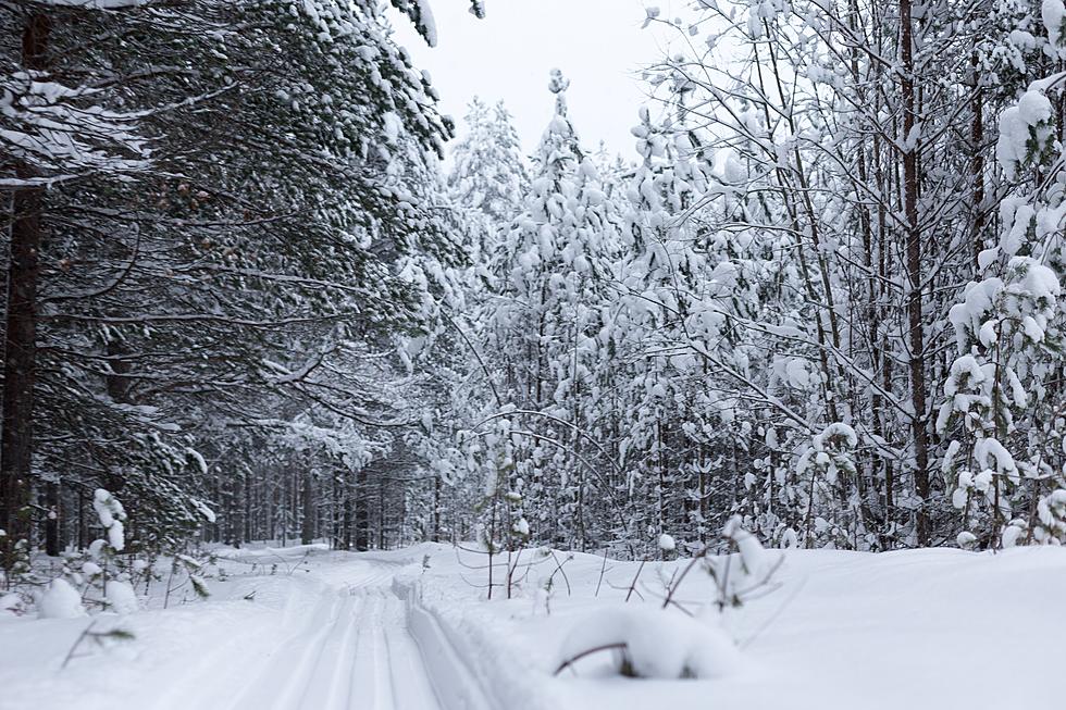 Seven Years In A Row Of A Binghamton White Christmas?