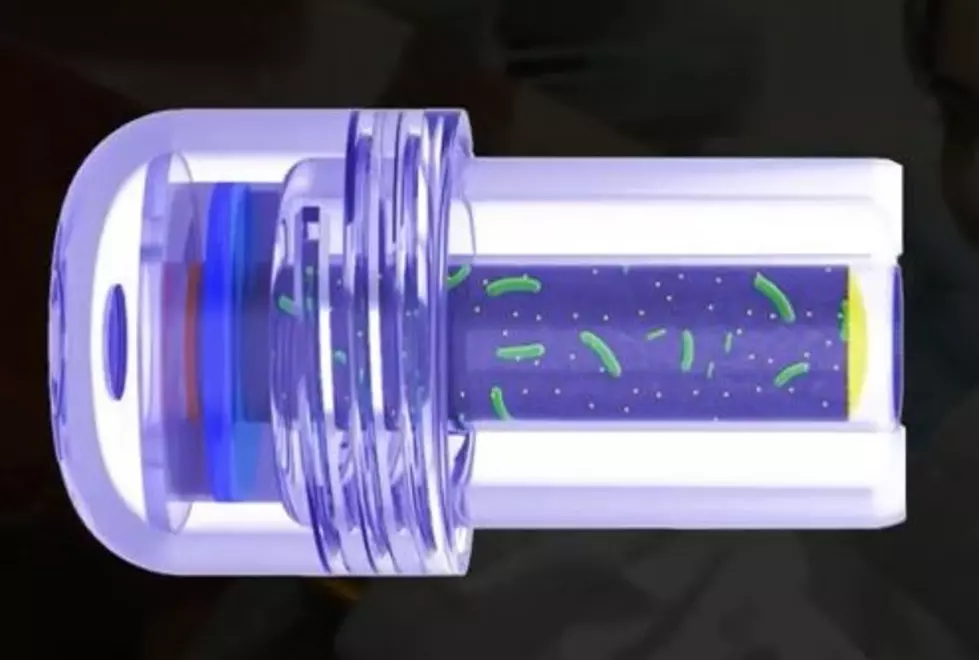Binghamton Researchers Develop A New Ingestible Biobattery