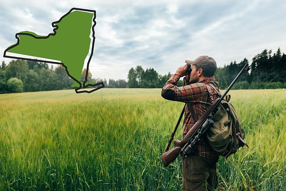New Rules for Turkey Hunters This Year in New York