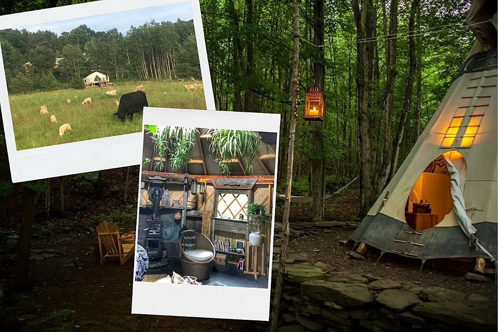 The Most Unique Glamping Experiences in New York State