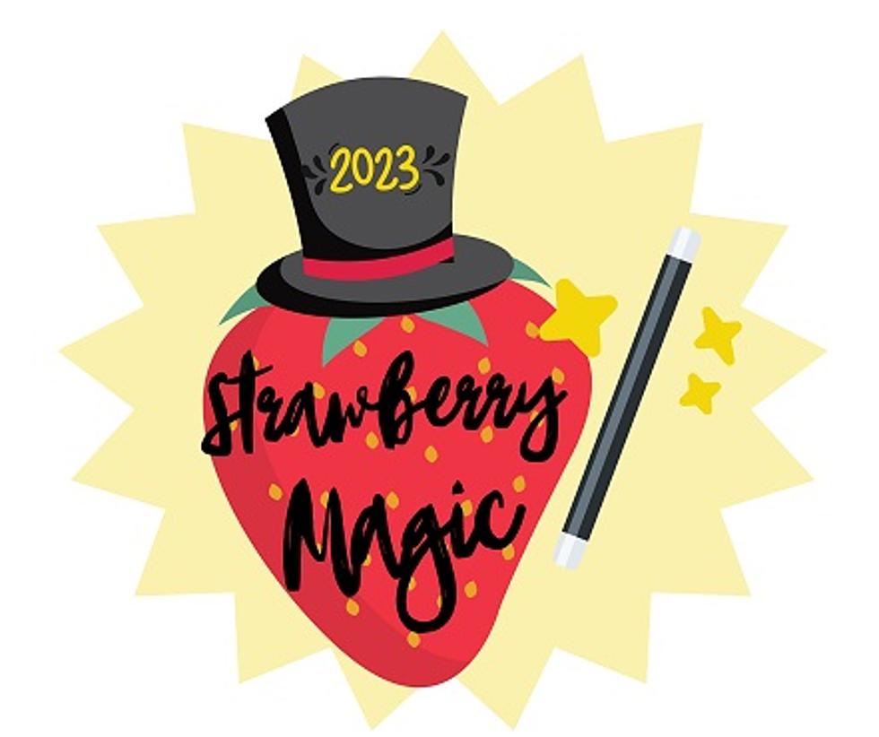 Owego Strawberry Festival Set To Return For 41st Year