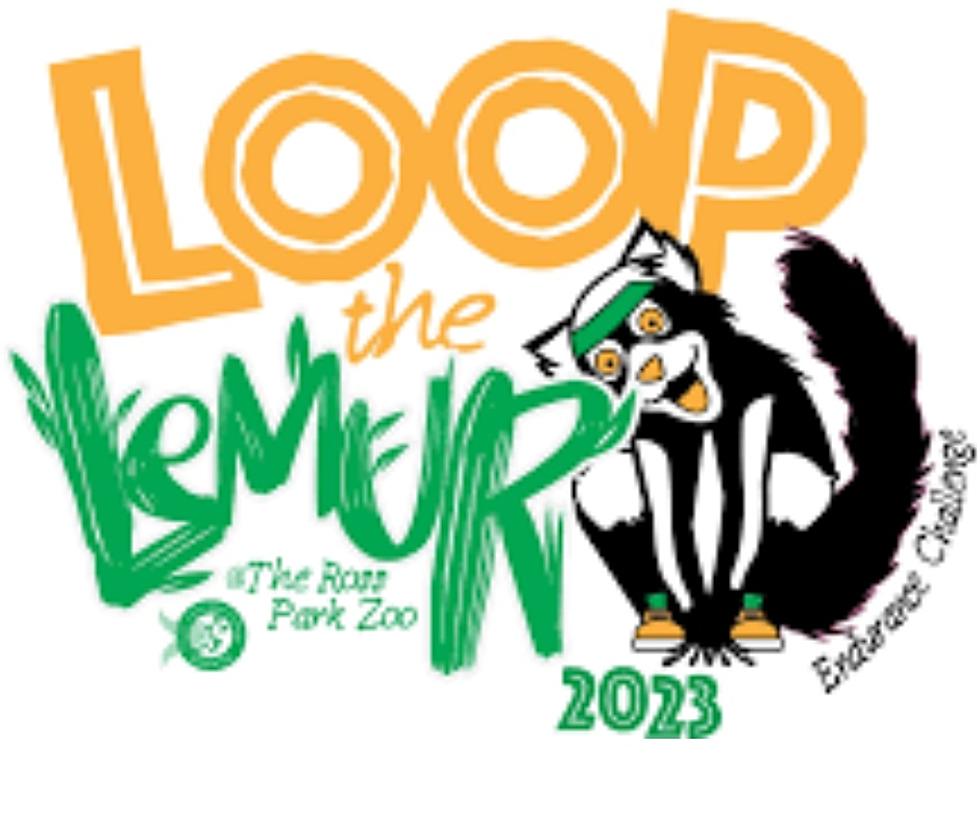 Loop The Lemur With Confluence Running At The Ross Park Zoo